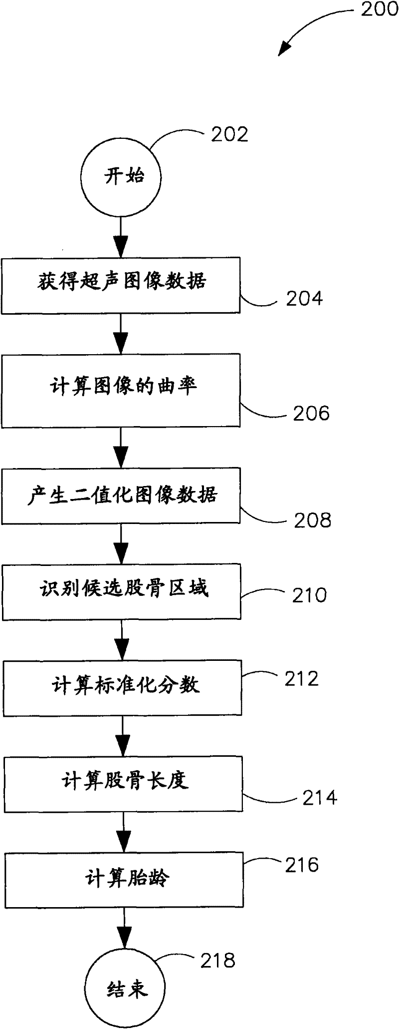 System and method of automated gestational age assessment of fetus