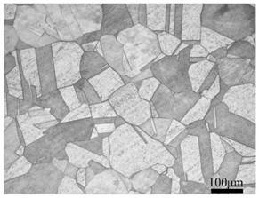 Preparation method of fine-grain weak-texture tissue blank for shaped charge liner