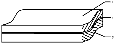 Method for preparing carbon nano tube modified bipolar membrane with anion groups