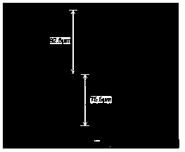 Method for preparing carbon nano tube modified bipolar membrane with anion groups