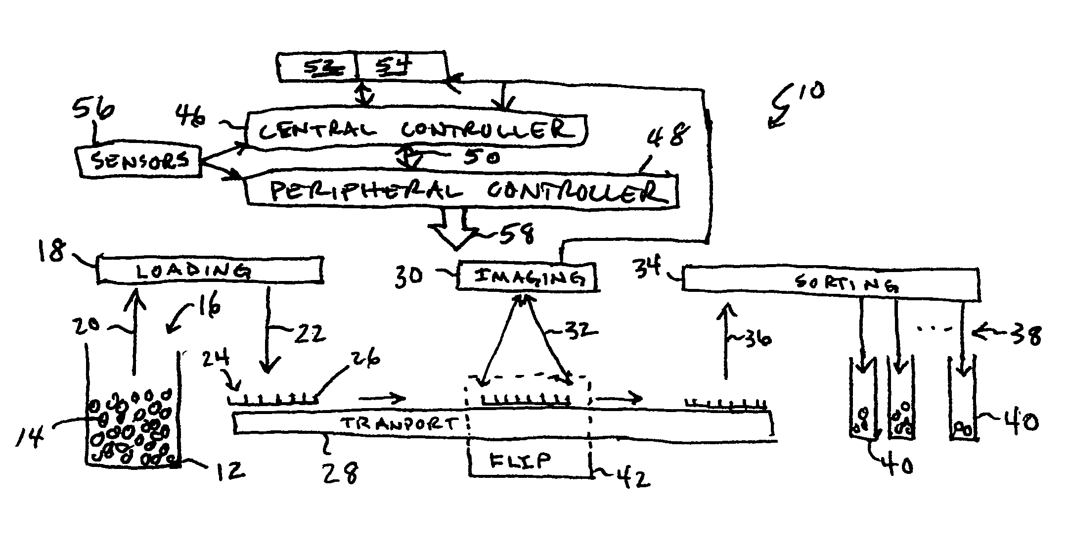 High throughput automated seed analysis system