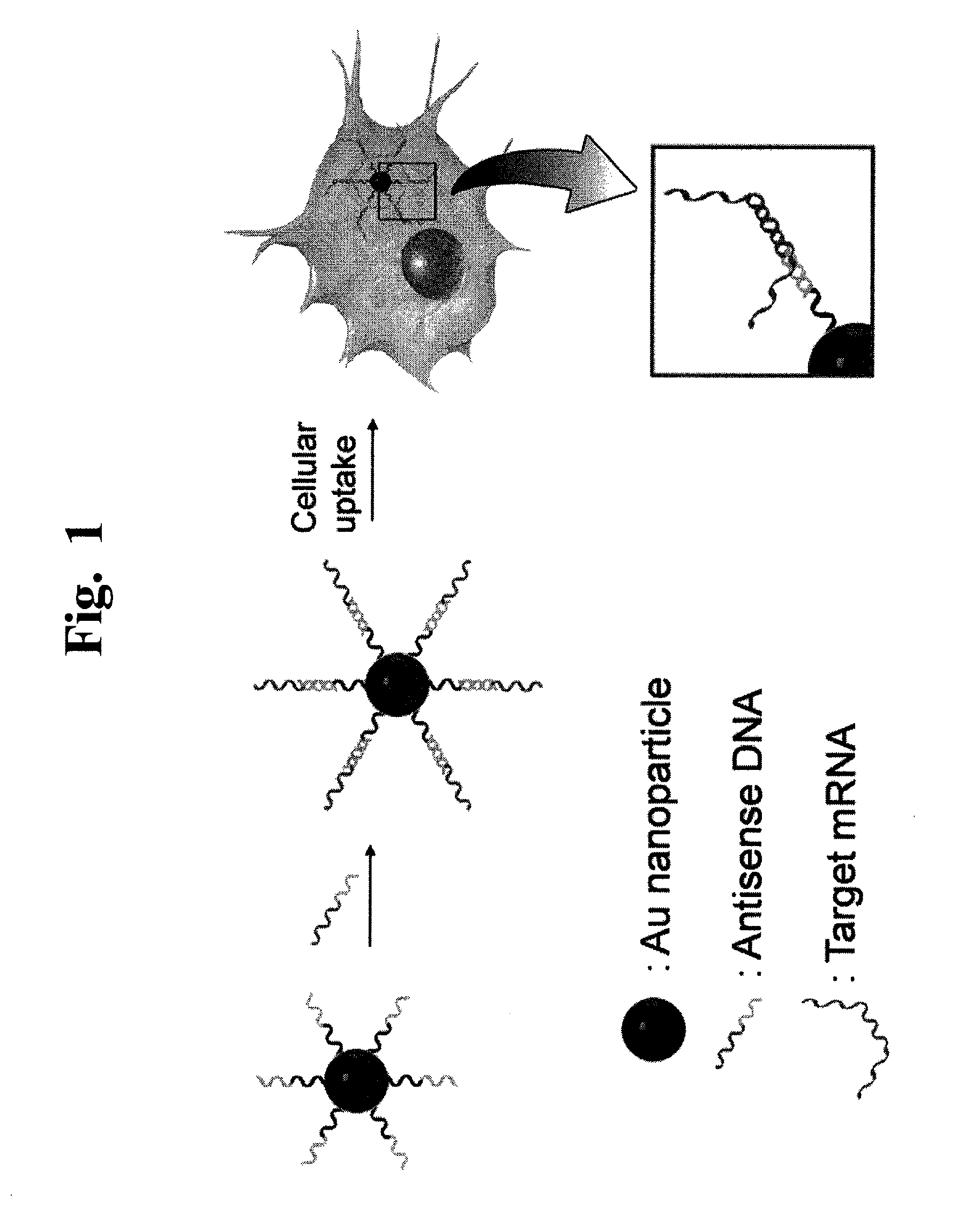 Nanoparticle-Based Gene Delivery Systems