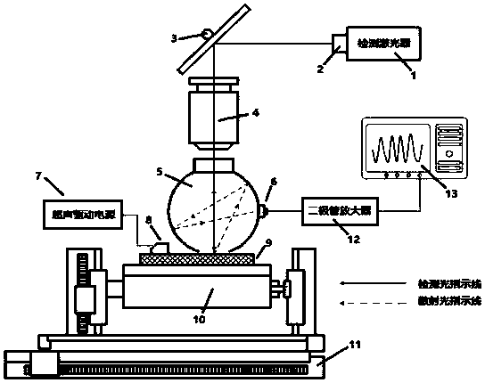 Device and method for detecting scattered light based on cooperation of ultrasonic modulation