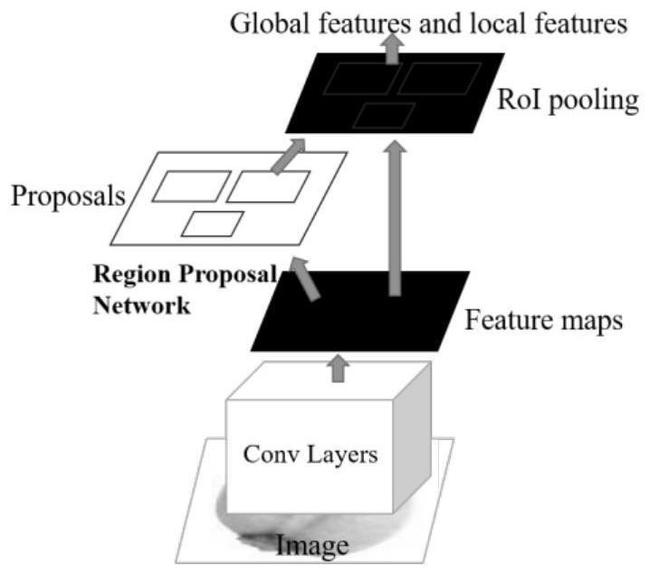 A medicinal material or decoction piece identification method based on an image annotation deep learning algorithm model