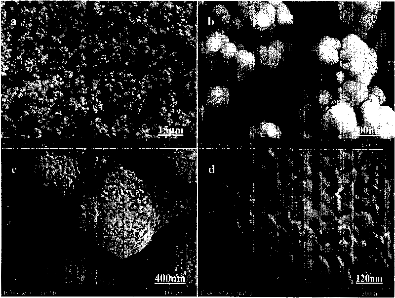 Method for preparing mesoporous titanium dioxide powder body