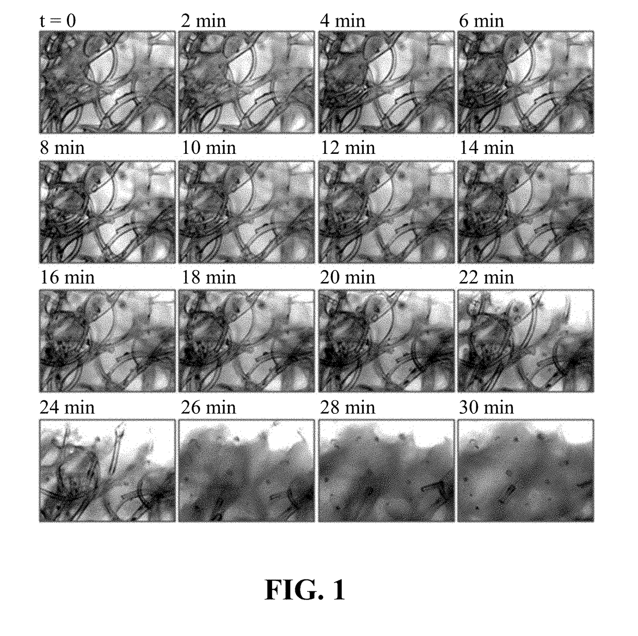 Intra-culture perfusion methods and applications thereof