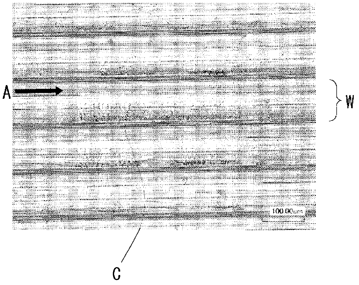 Pure copper plate production method, and pure copper plate