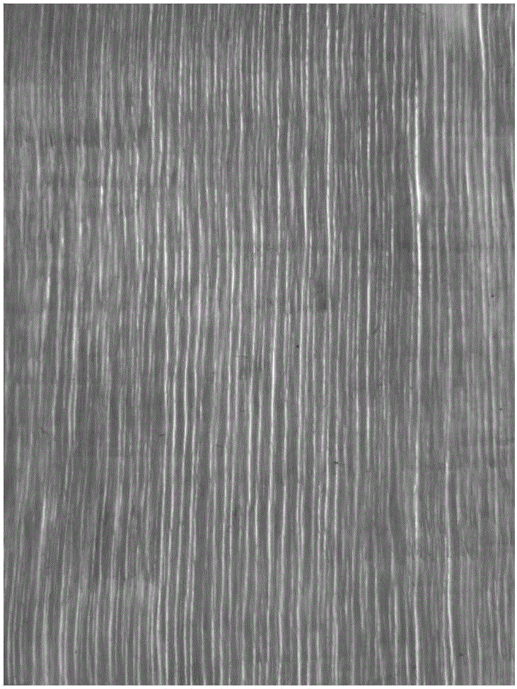 System for preparing laminated veneer lumber from wooden veneers and laminated veneer lumber preparation method