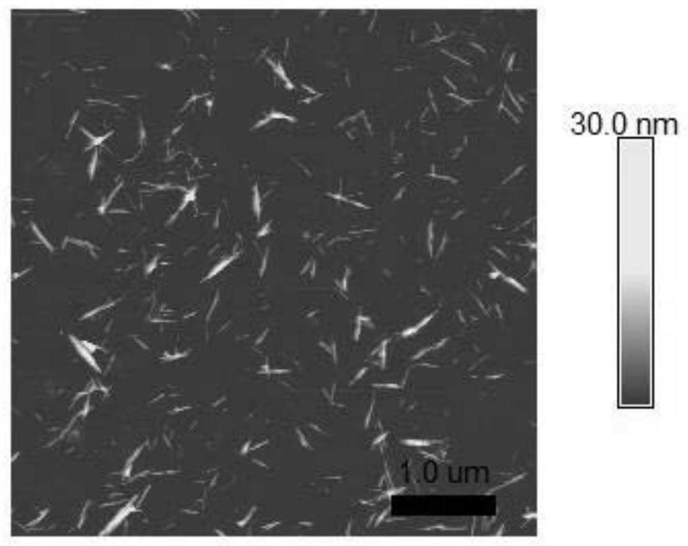 Red tide algae algicide based on persulfate oxidation modified nano-cellulose and application of red tide algae algicide