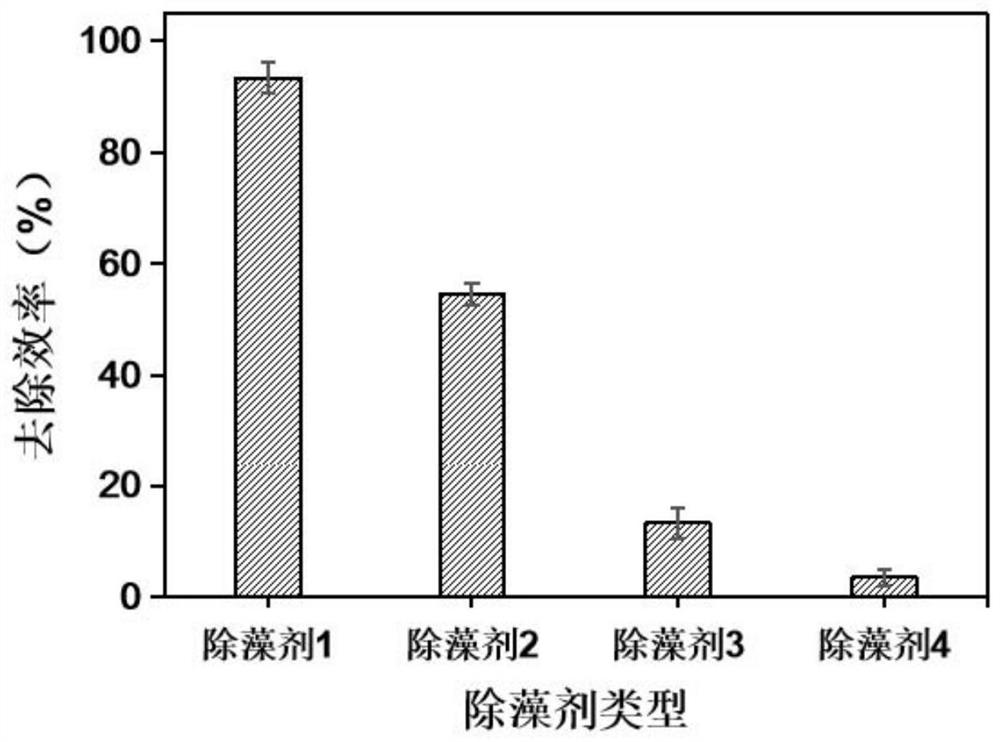 Red tide algae algicide based on persulfate oxidation modified nano-cellulose and application of red tide algae algicide