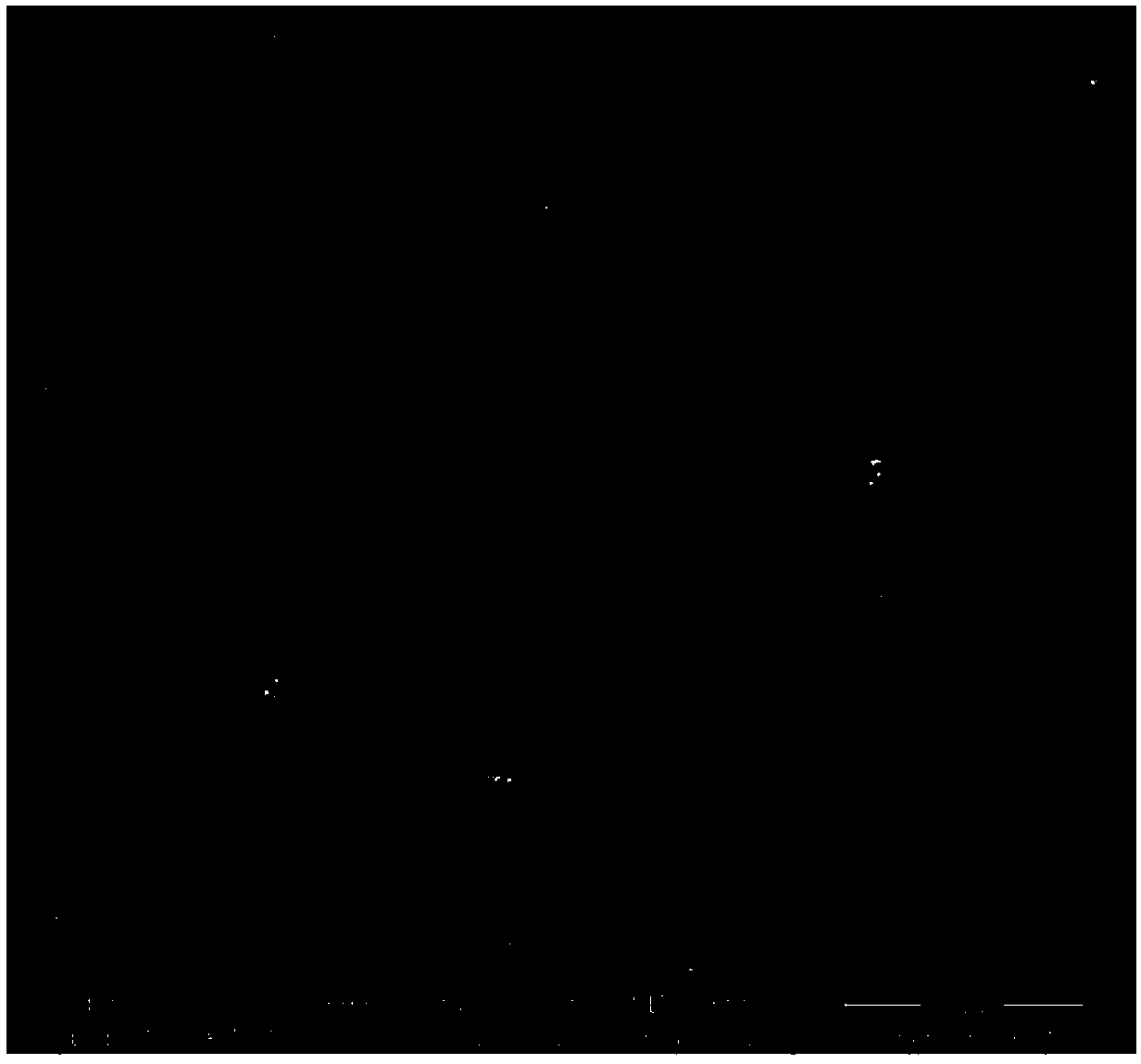 Preparation method of ferric oxide/carbon/carbon nanotube lithium-ion battery negative electrode material