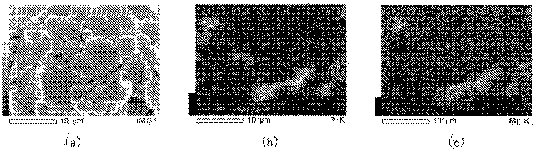 Electrophotographic developer carrier core material, manufacturing method therefor, electrophotographic developer carrier, and electrophotographic developer