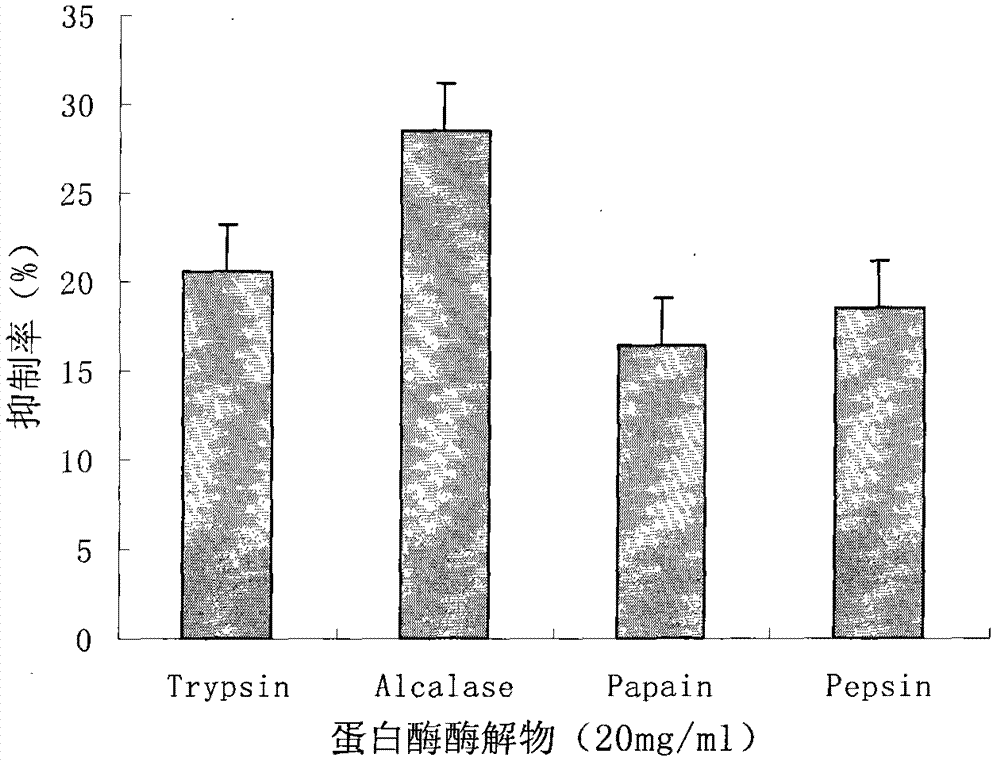 Mytilus edulis enzymolysis polypeptide and preparation method and application thereof