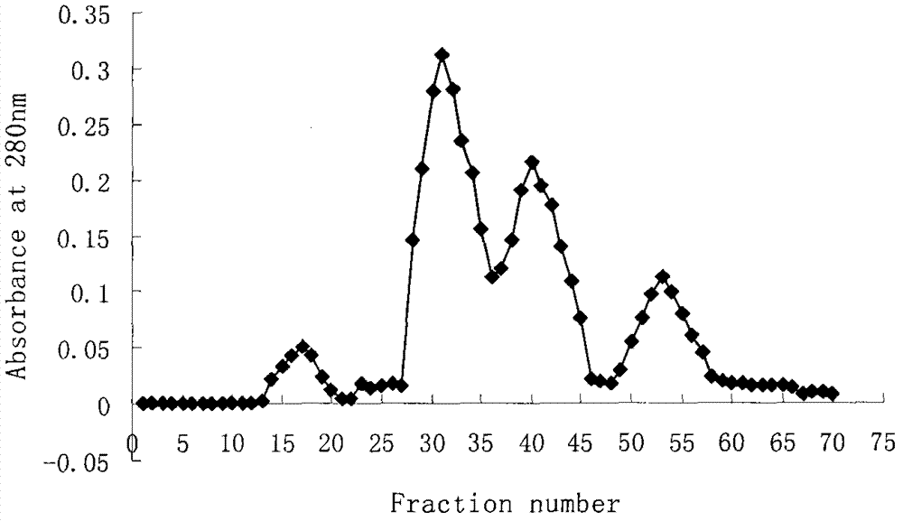 Mytilus edulis enzymolysis polypeptide and preparation method and application thereof