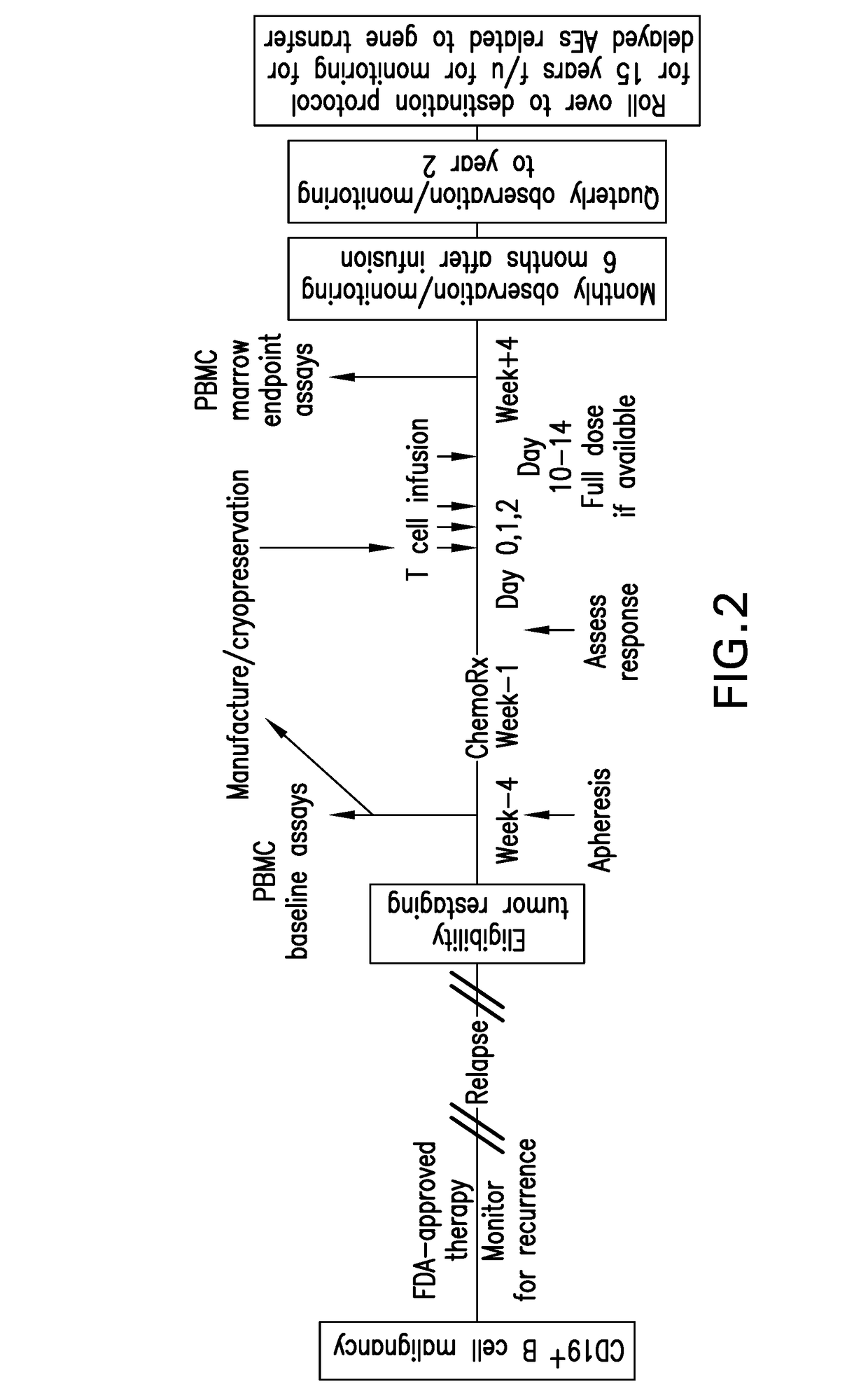 Compositions and methods for improved car-t cell therapies