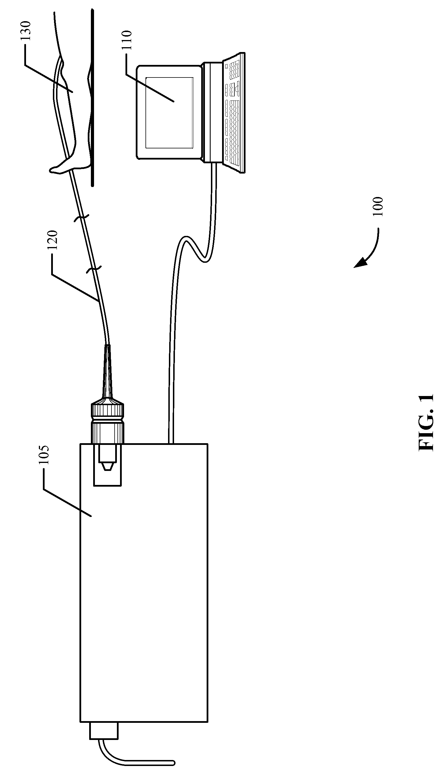 Low-Loss Polarized Light Diversion