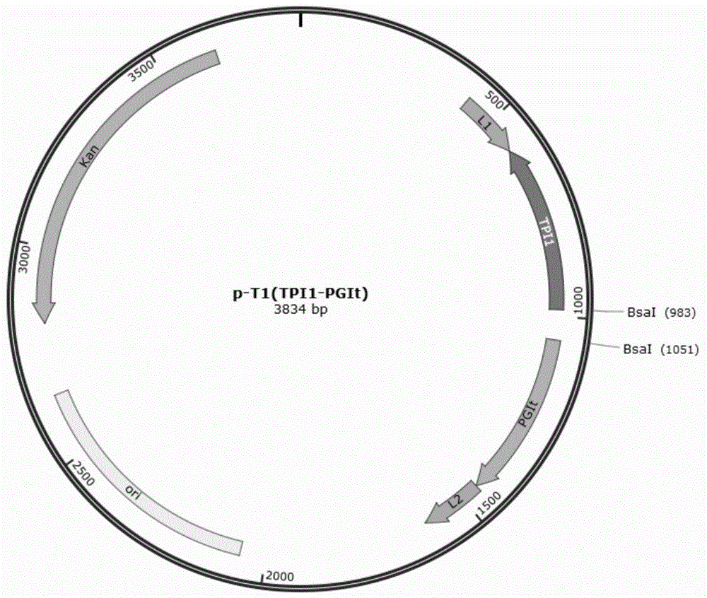 Method for simultaneously cloning multiple exogenous genes to microbial genome