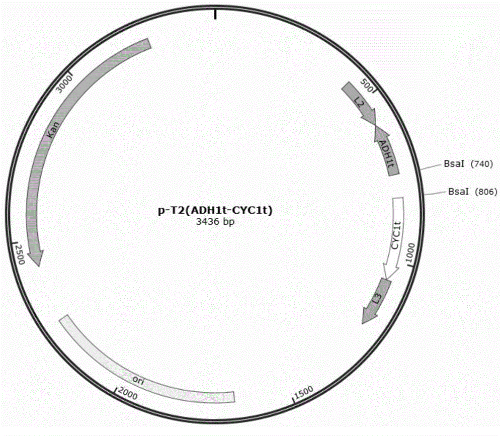 Method for simultaneously cloning multiple exogenous genes to microbial genome