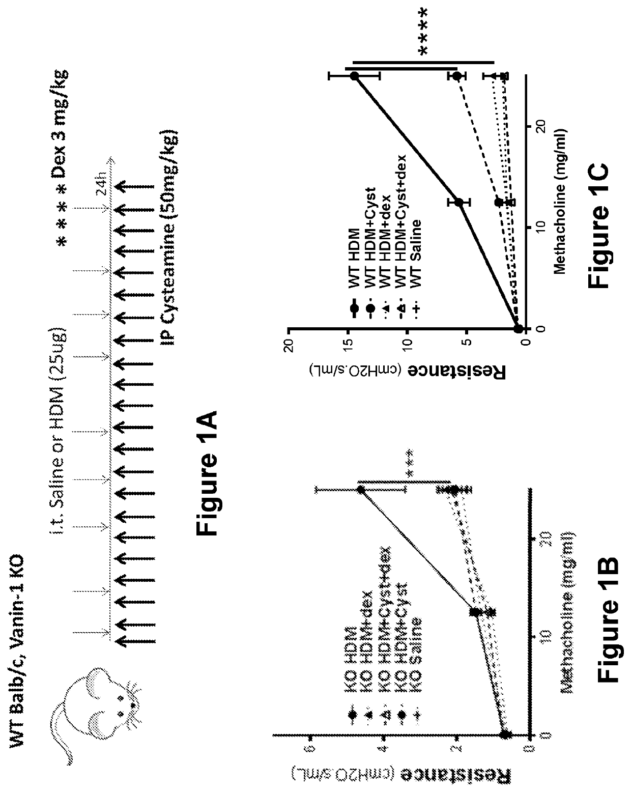 Treatment of asthma with cysteamine