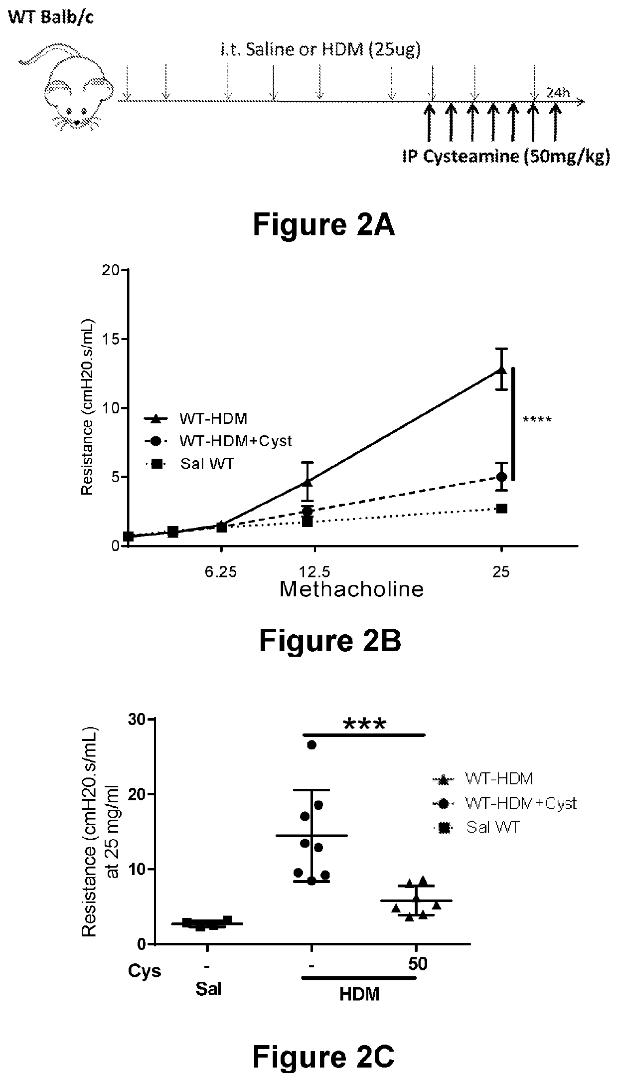 Treatment of asthma with cysteamine