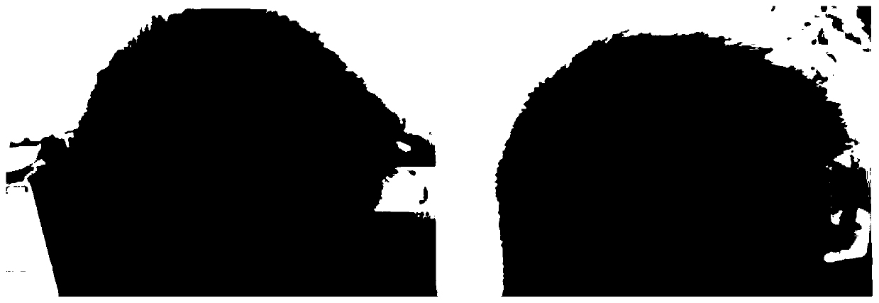 Hair growing method for reconstructing hair follicles by using stem cells and applications thereof