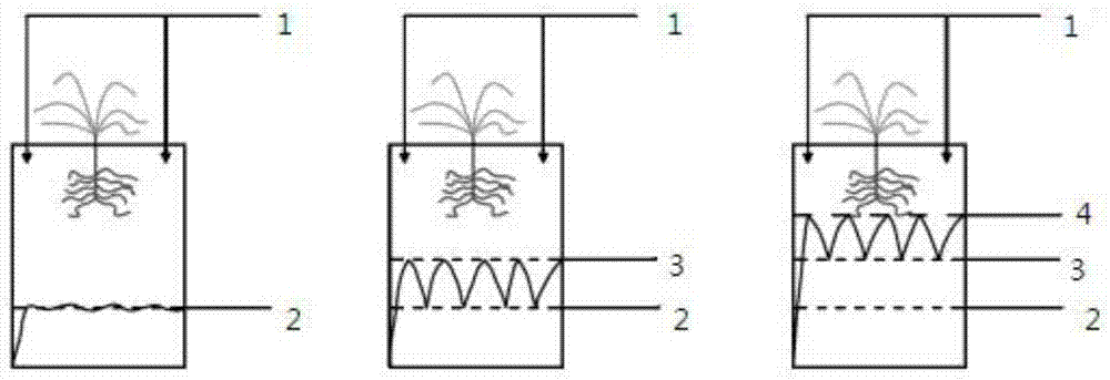 Crop hierarchical water requirement calculation method based on soil moisture variation