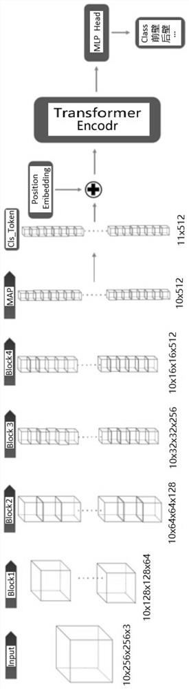 Gastroscope video part identification network structure based on Transformer