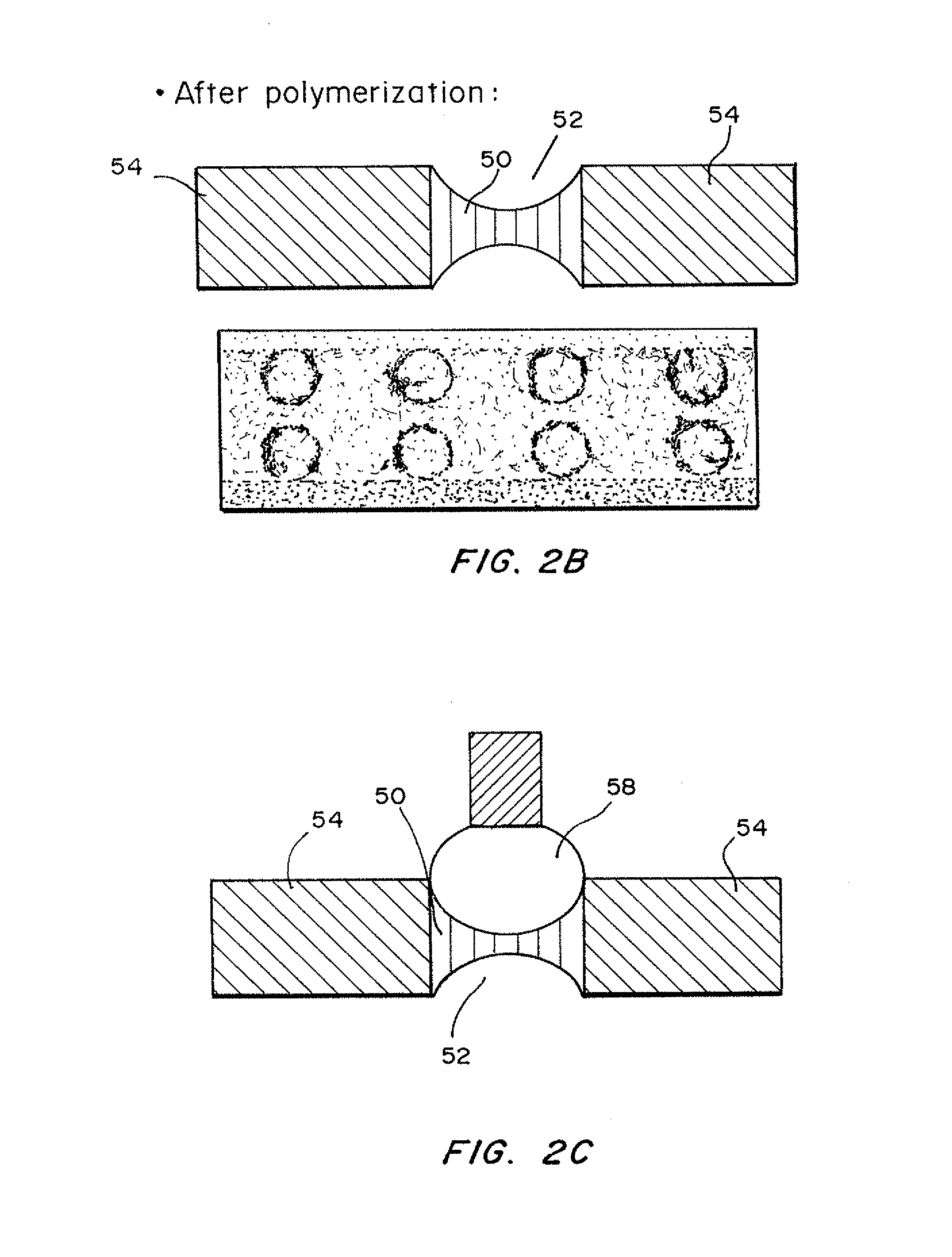 System and Method for Proteomics