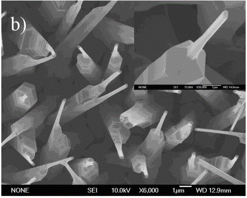 Method for preparing double-layer zinc oxide nanowire array by chemical vapor deposition