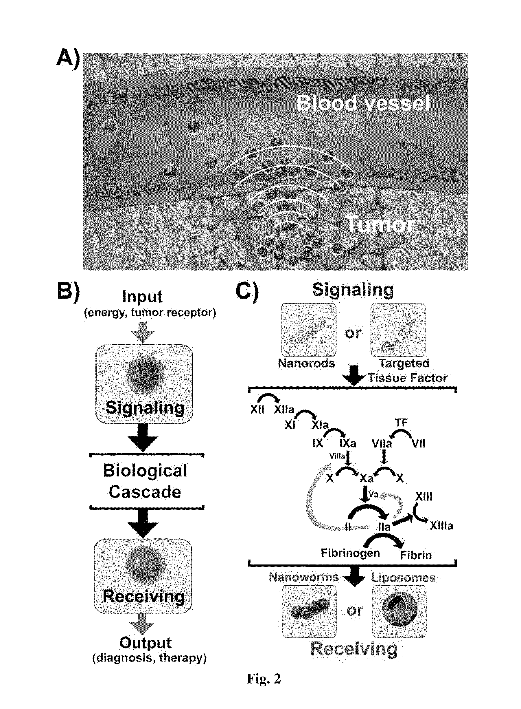 Methods and systems for treatment and/or diagnosis