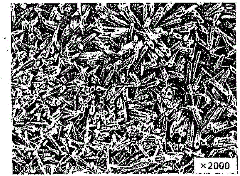 Method of treating peripheral artery diseases in lower limbs