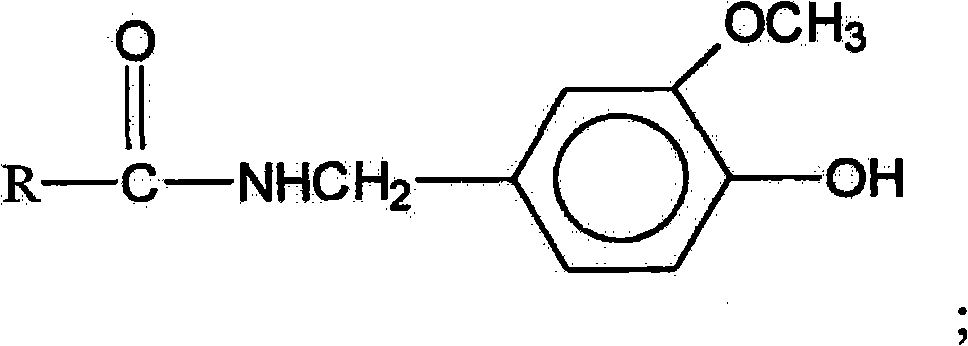 Degradable rodent-proof bio-based garbage bag and preparation method thereof