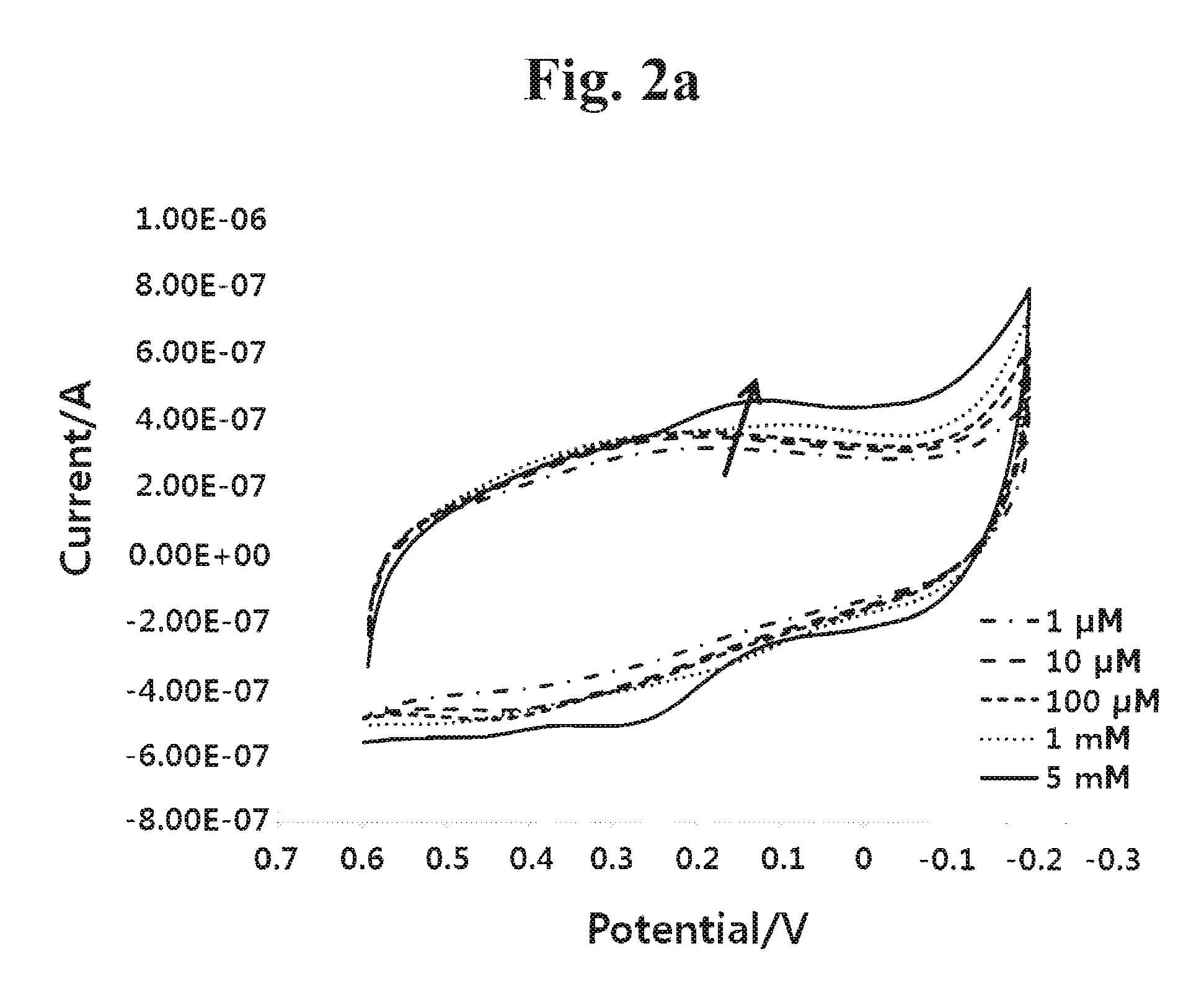 Sensor for detecting stem cell differentiation based on electrochemical methods