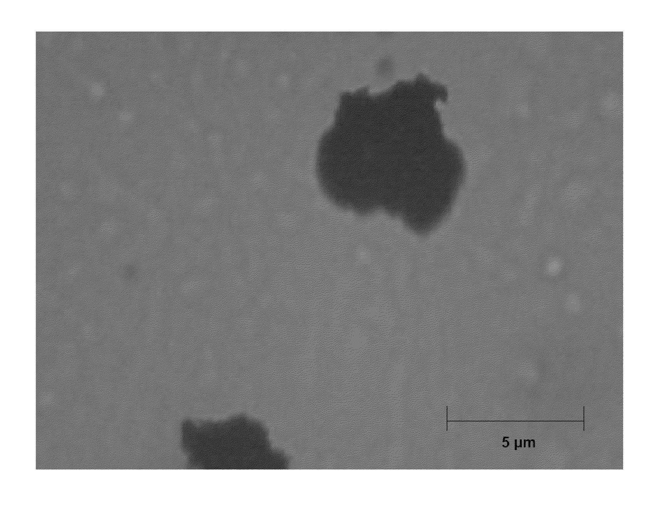 Compositions comprising solid particles encapsulated in a cross-linked silicone matrix, and methods of making the same