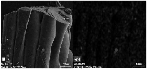 Preparation method of HAP/PLA composition bone repair stent loaded with strontium ranelate