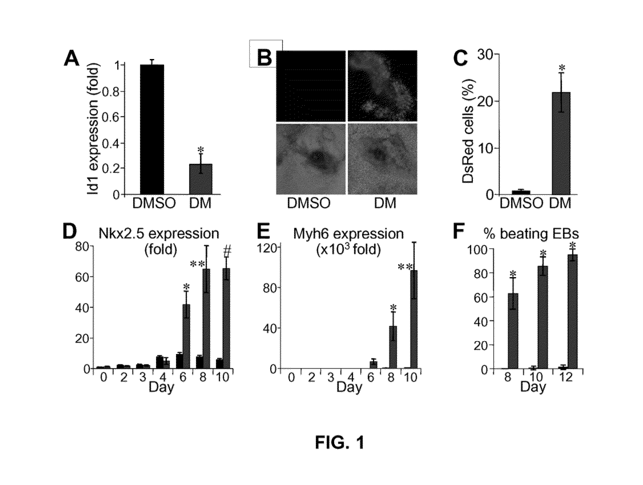 Compounds and methods useful for directing stem cell differentiation