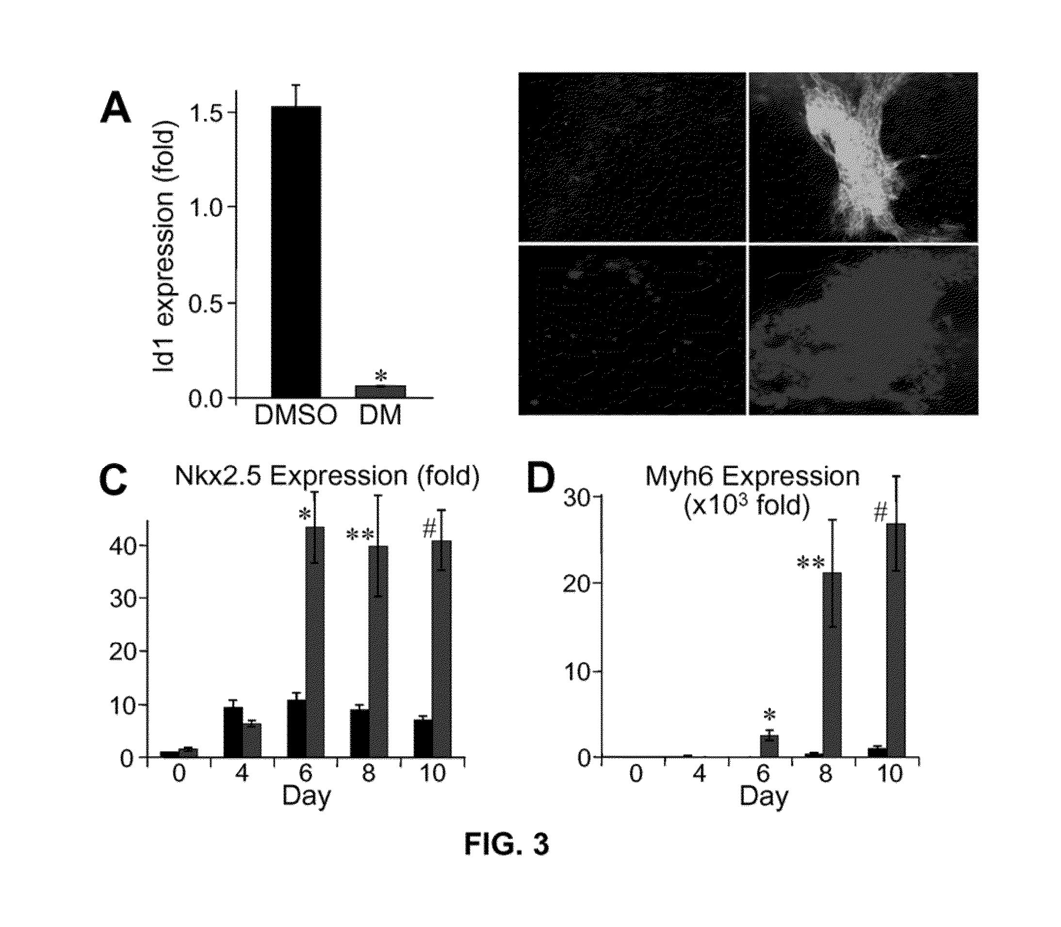 Compounds and methods useful for directing stem cell differentiation