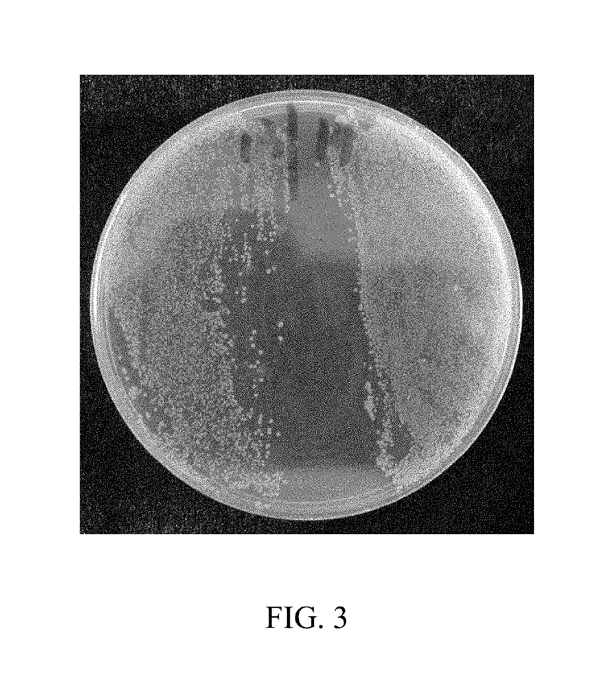 Applications of benzophenones in preparation of drug