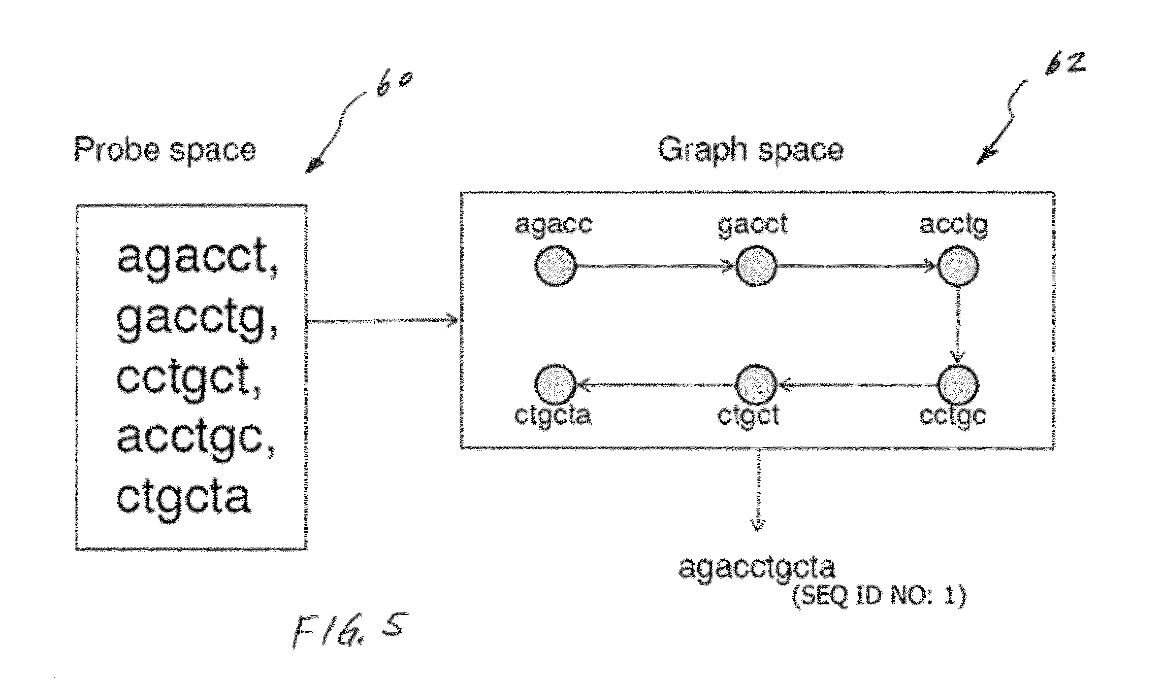 Methods for sequencing a biomolecule by detecting relative positions of hybridized probes