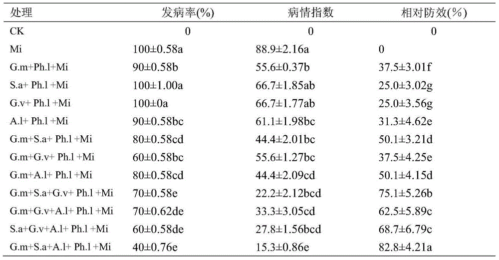 AMF+DSE combined fungicide and application thereof in preparing preparation for promoting cucumber growth and resisting root-knot nematode