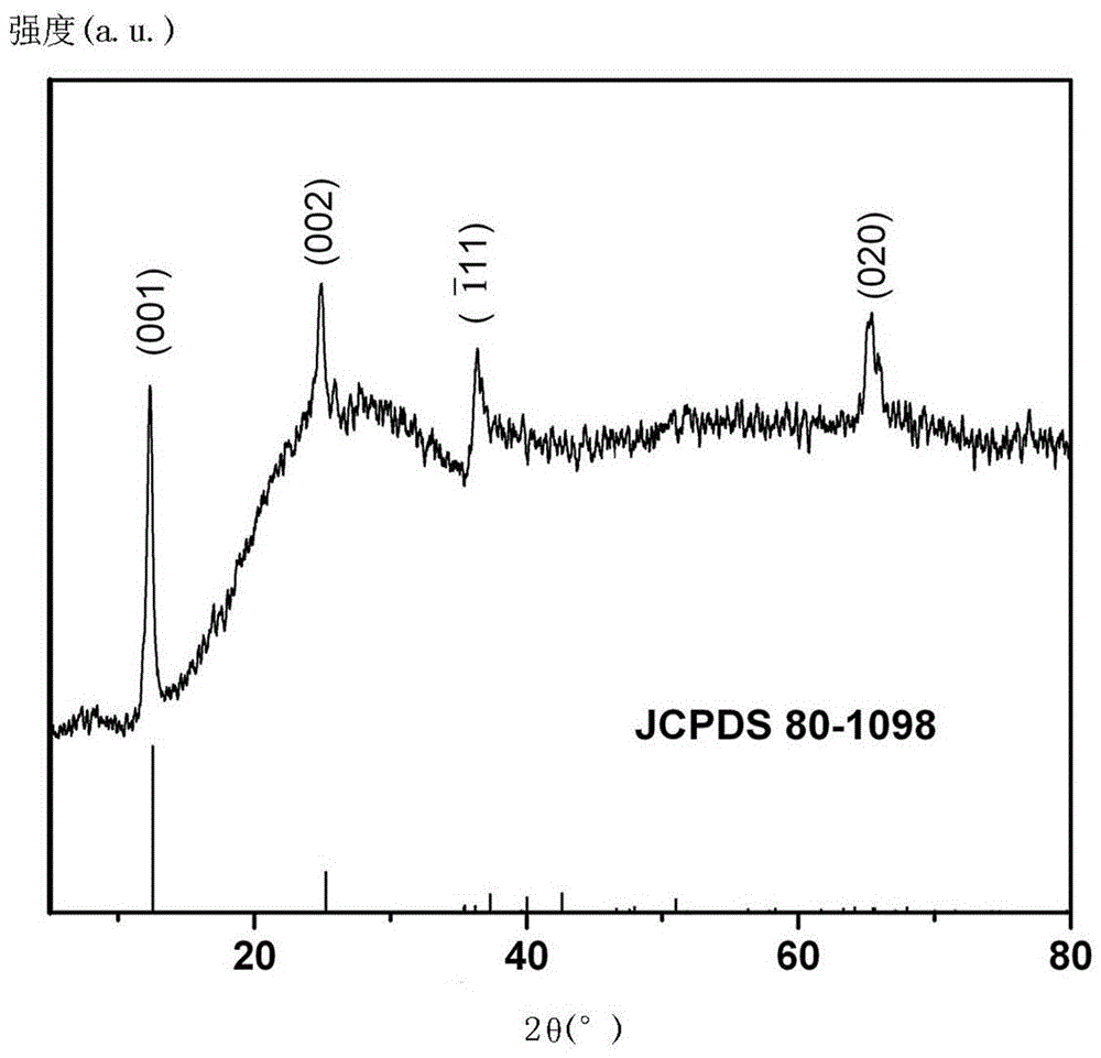 Negative electrode active material, preparation method thereof, and lithium ion battery