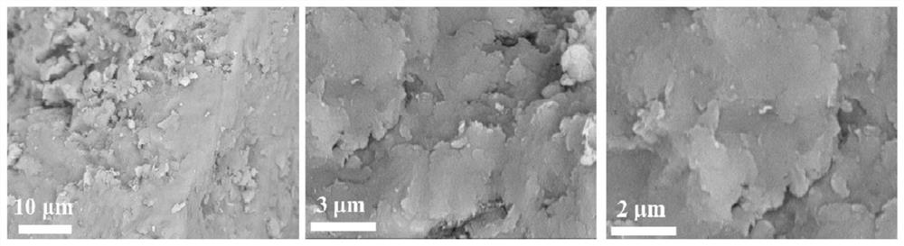 Slow-release hectorite multifunctional alkaline protective agent as well as preparation method and application thereof