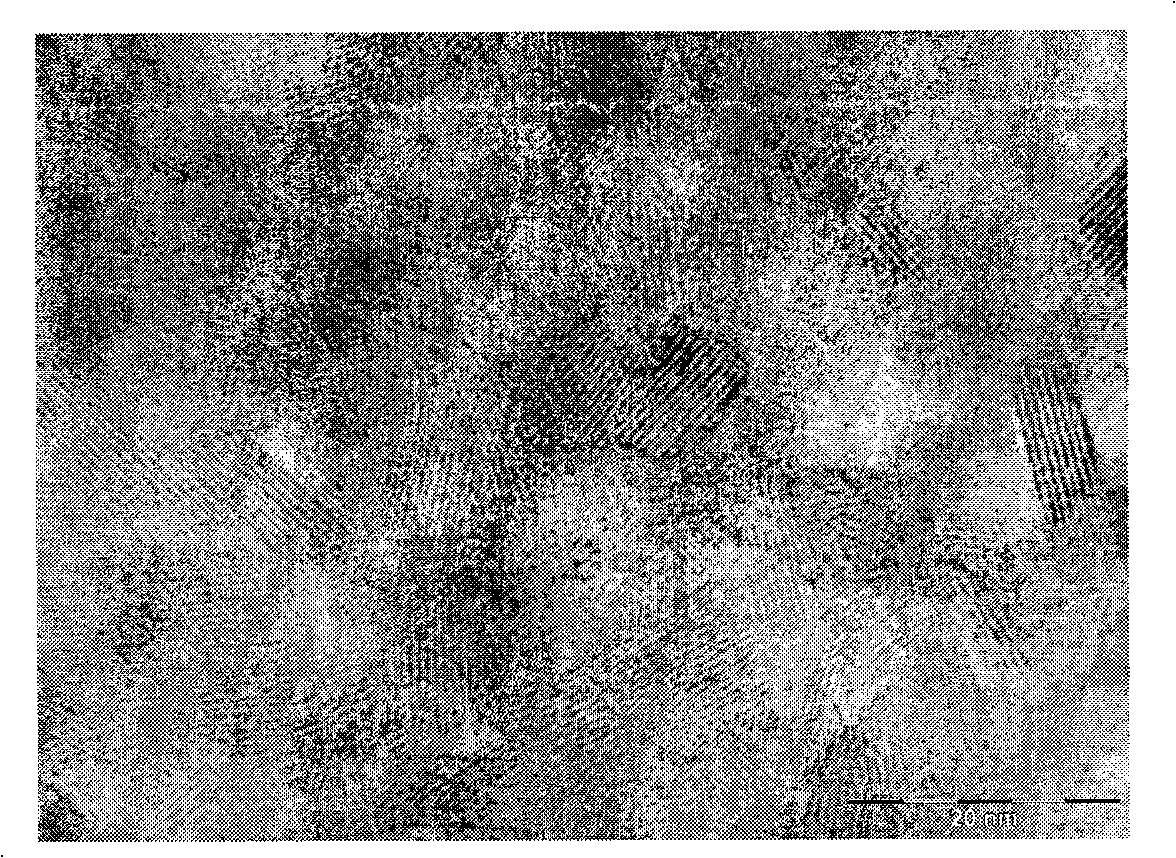 Preparation method of titanium dioxide photocatalyst of plant graded structure