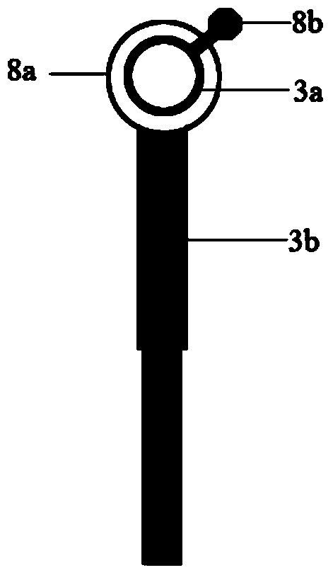 Portable concentration device for quantitative samples of planktons