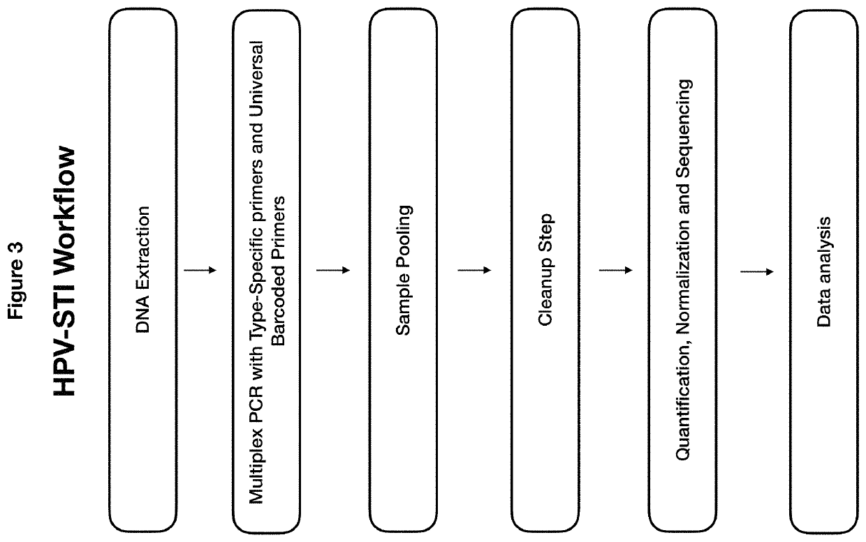 Methods and compositions for human papillomaviruses and sexually transmitted infections detection, identification and quantification