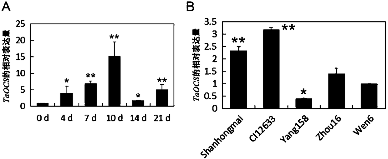 Breeding method for genetically modified wheat capable of resisting both sheath blight and root rot and related biological material thereof