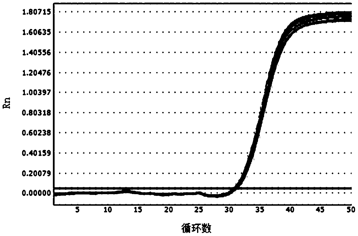 Lysis solution for extracting nucleic acid by paramagnetic particle method and method for extracting nucleic acid by using lysis solution