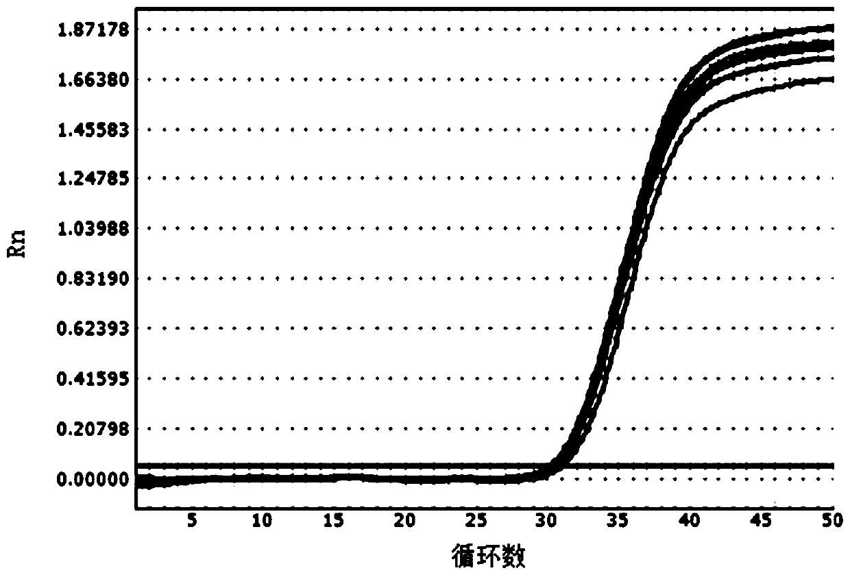 Lysis solution for extracting nucleic acid by paramagnetic particle method and method for extracting nucleic acid by using lysis solution