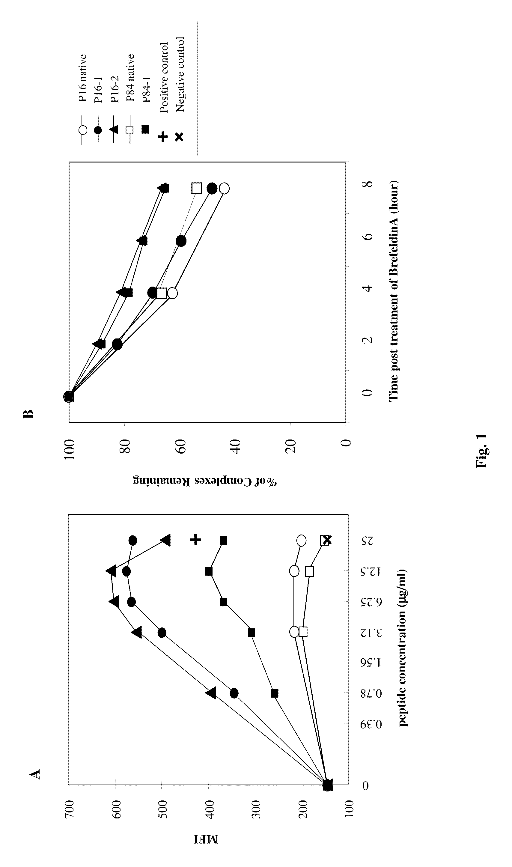 Immunogenic peptides and methods of use