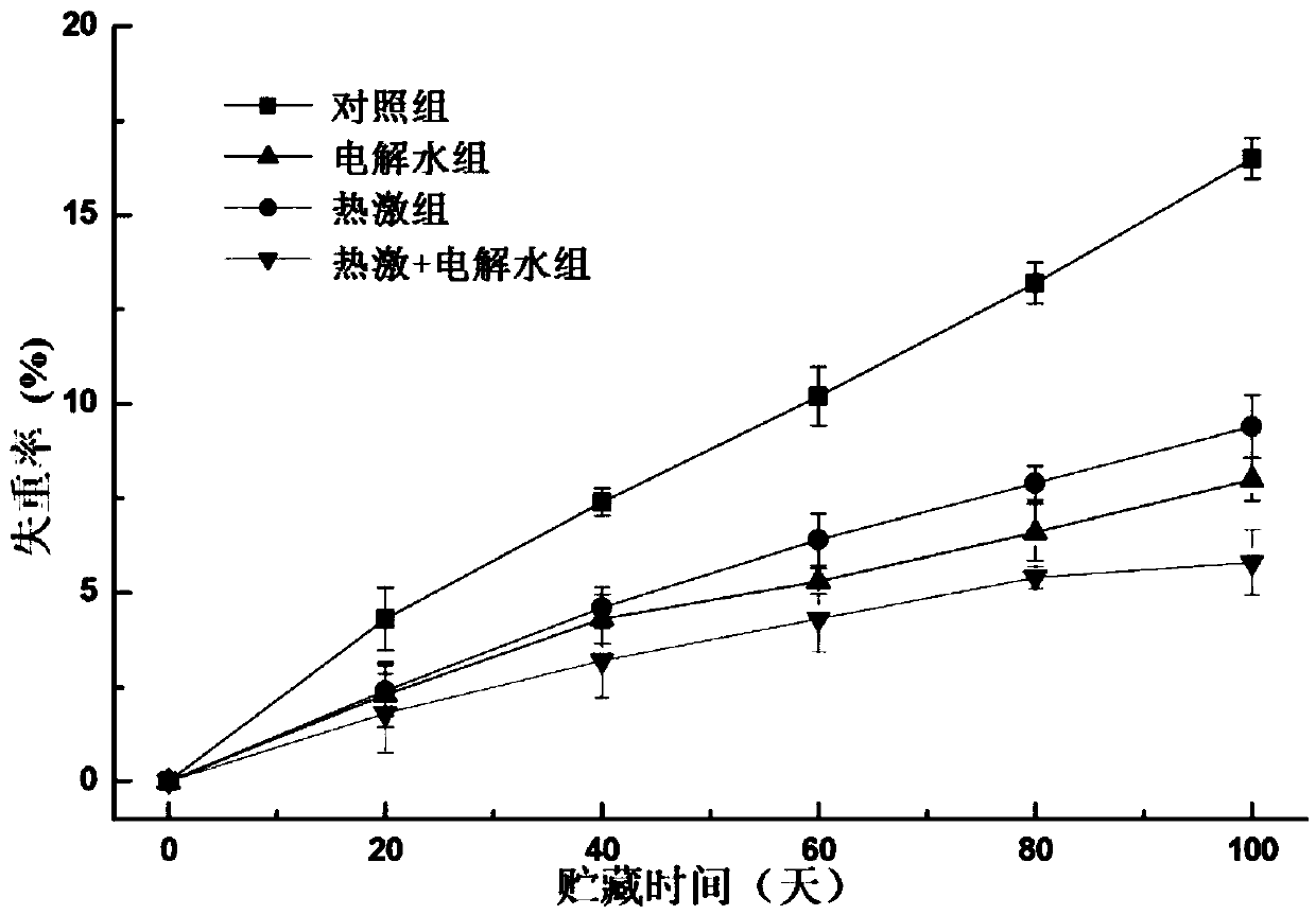 Ice temperature dynamic controlled atmosphere storage method for delaying softening and water loss of fresh jujube based on cooperation of heat shock and electrolytic water treatment